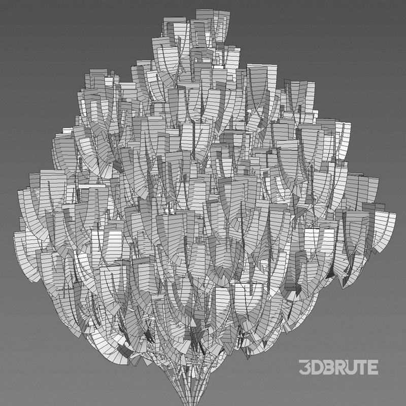 Platycladus orientalis – Biota orientalis – Thuja orientalis 02 Image 4