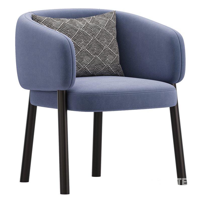 Aretha Design Armchair Image 3
