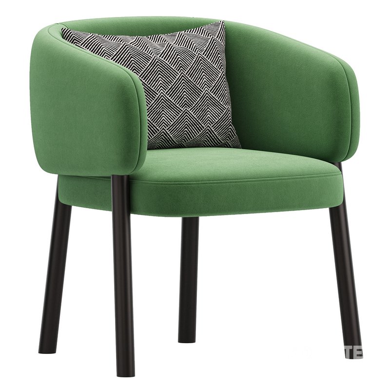 Aretha Design Armchair Image 4