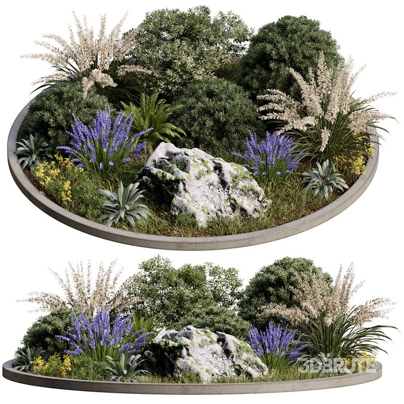 Outdoor Plant 32 Image 1