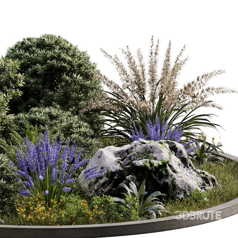 Outdoor Plant 32 Image 2