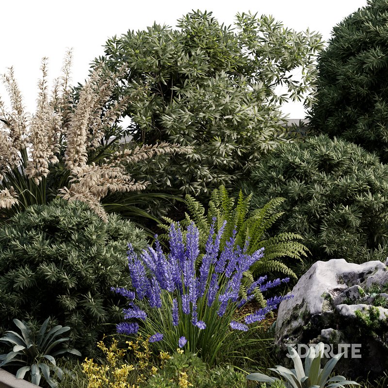 Outdoor Plant 32 Image 3