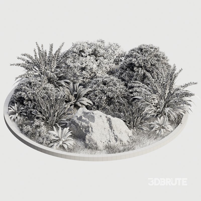 Outdoor Plant 32 Image 4