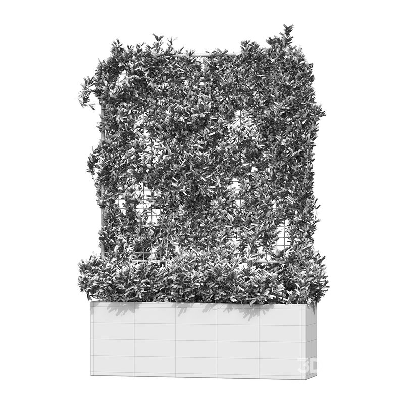 Botanical Planter 3 Image 12