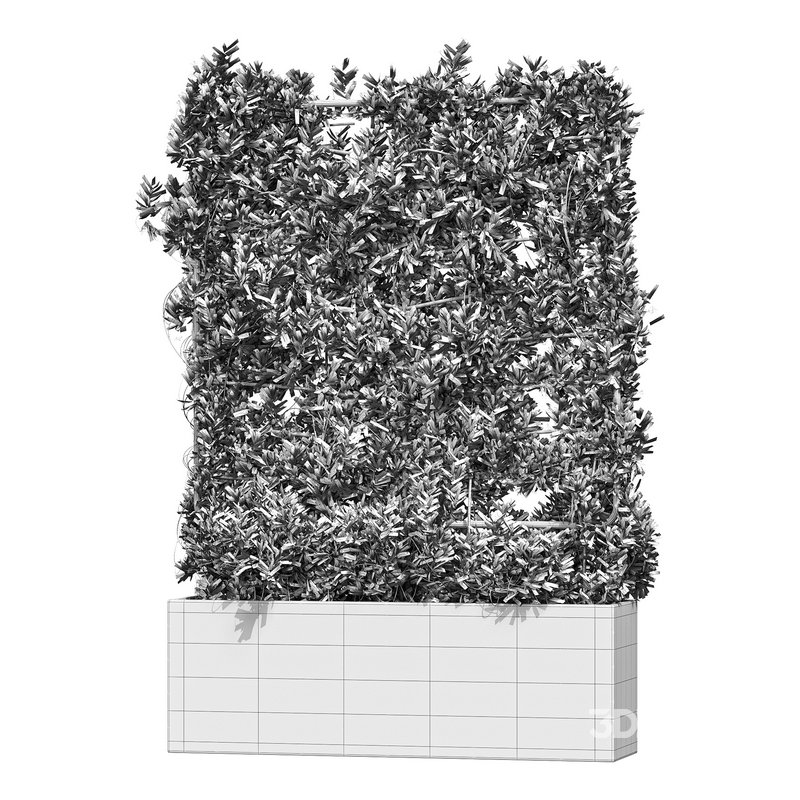 Botanical Planter 4 Image 11