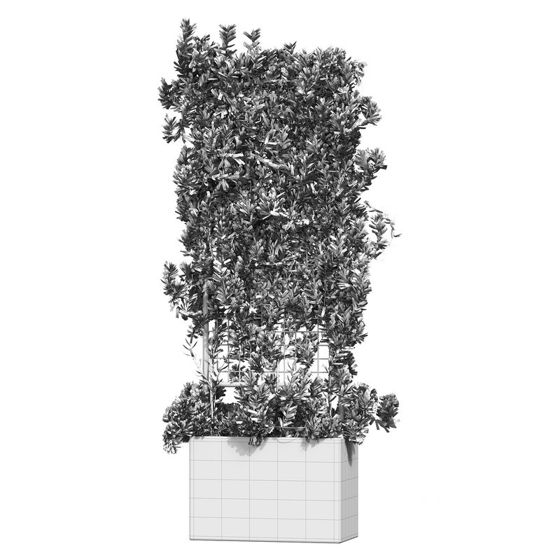 Botanical Planter 2 Image 14