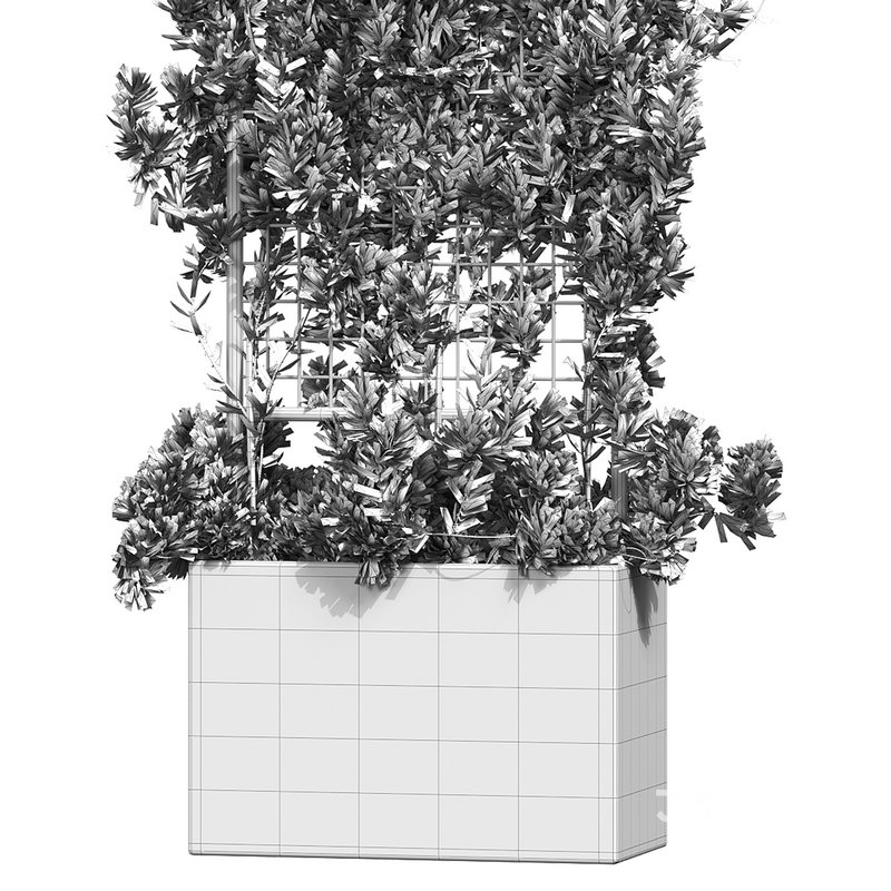 Botanical Planter 2 Image 15