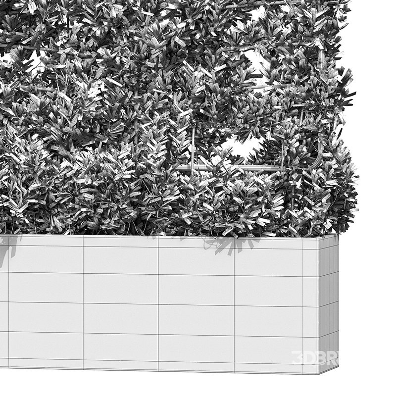 Botanical Planter 4 Image 10