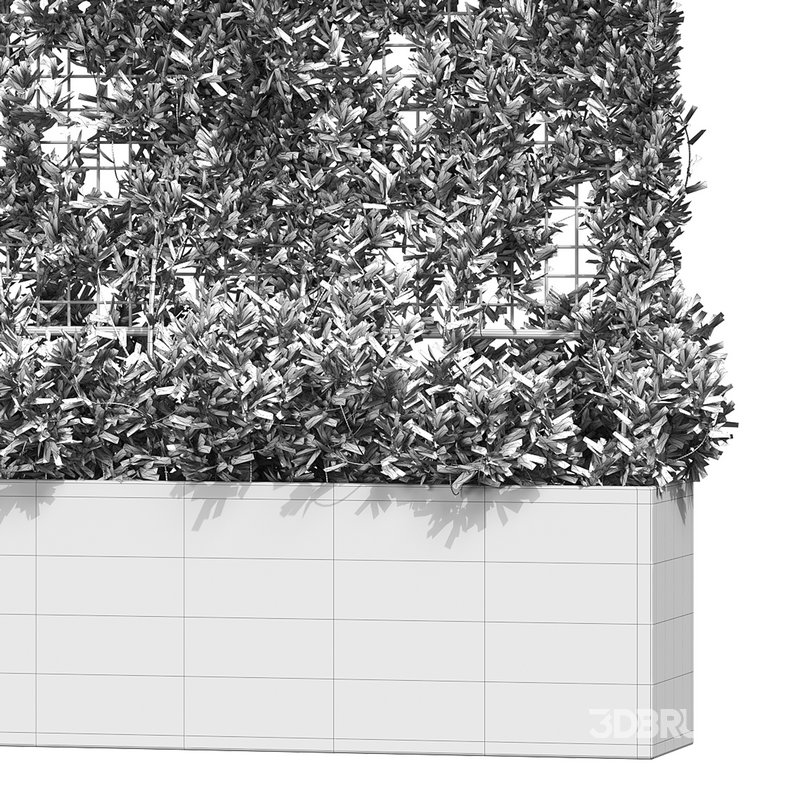 Botanical Planter 3 Image 14