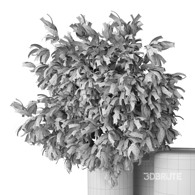 Isla Wall Mounted Lamp & Glass Vase Image 15