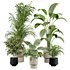 plants set - Thumbnail 1