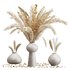 Minimal Dried Pampas Set - Thumbnail 1