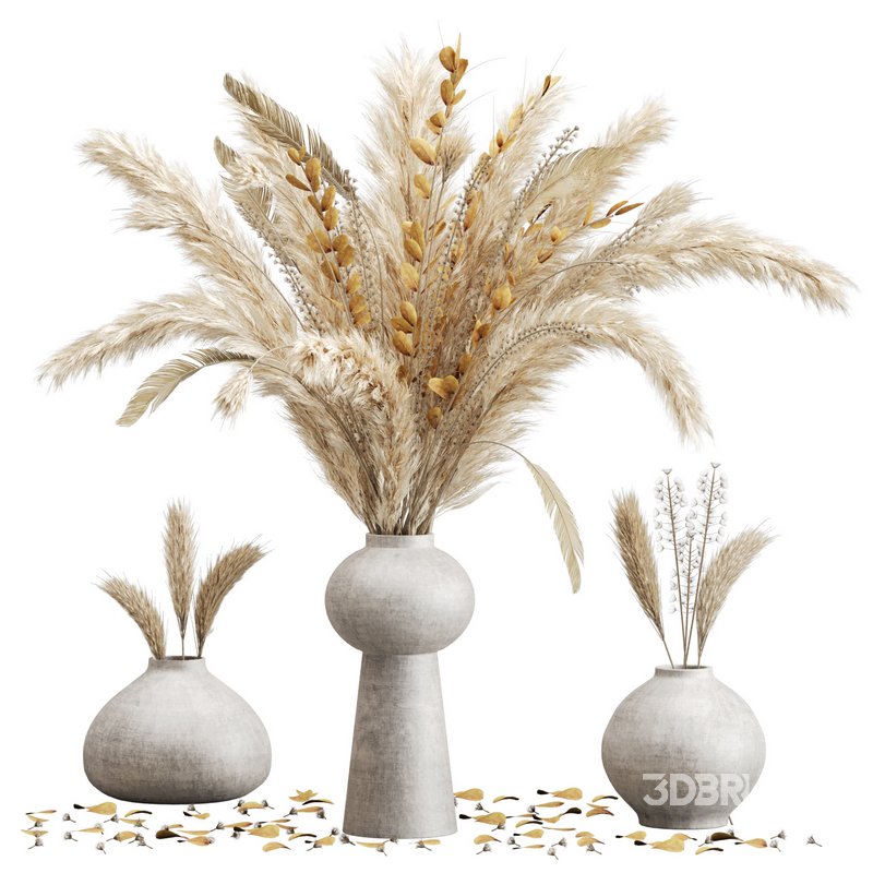 Minimal Dried Pampas Set Image 1