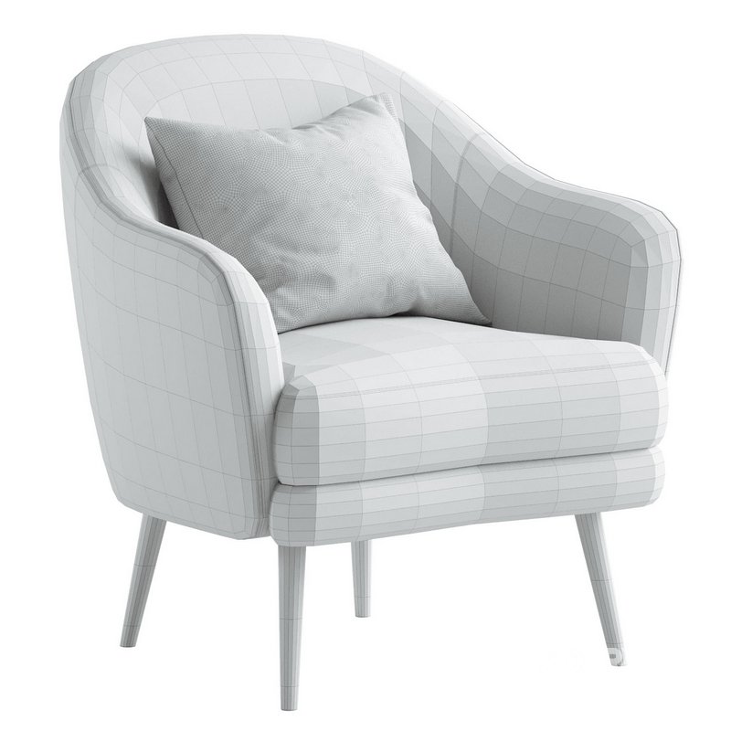 Kreslo nyuton Image 4