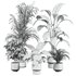 plants set - Thumbnail 5