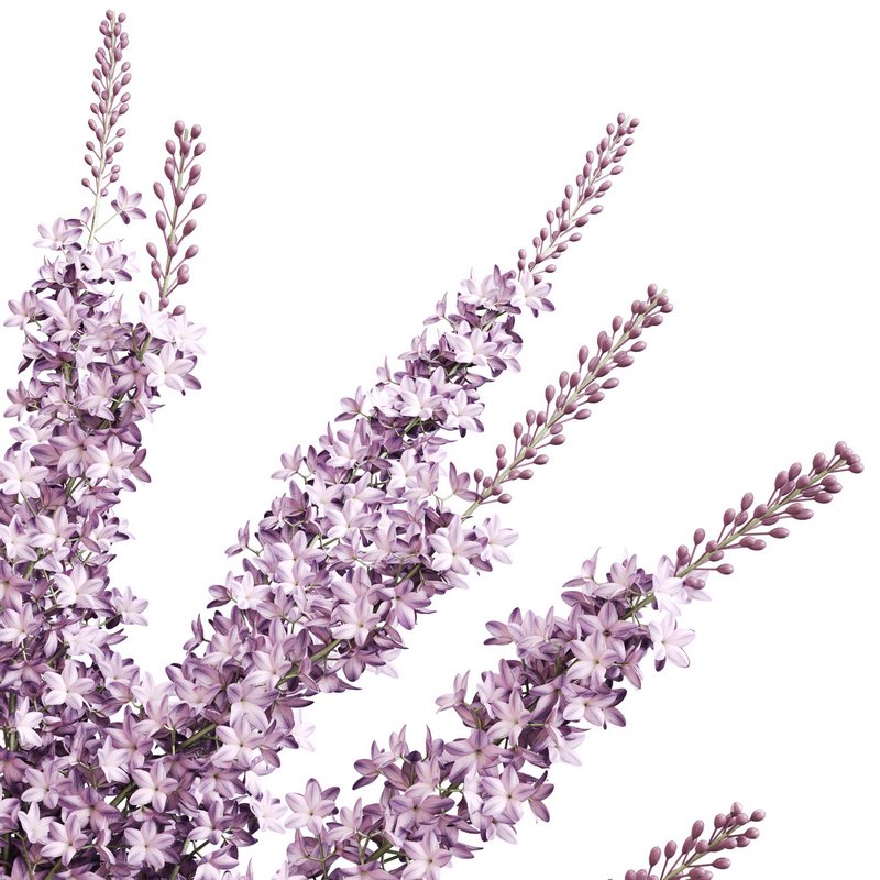 Lilac elegance in concrete Image 4