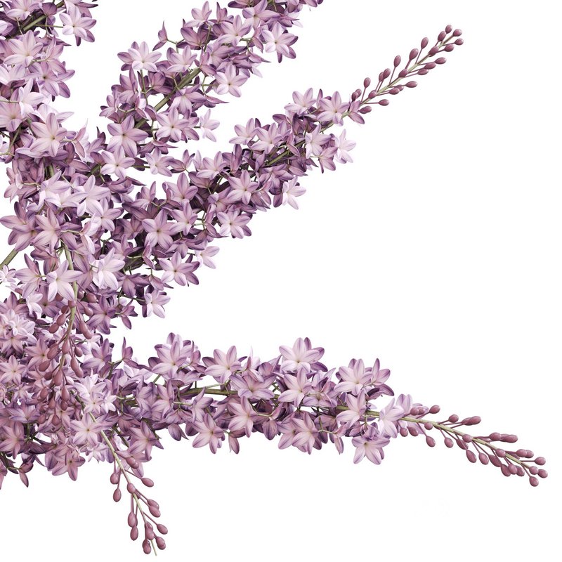 Lilac elegance in concrete Image 8