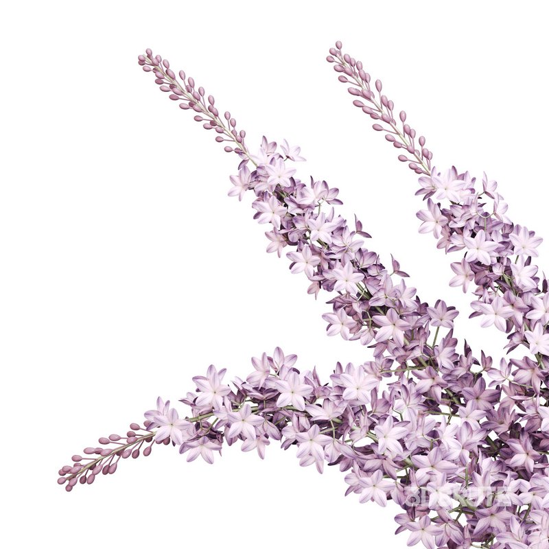 Lilac elegance in concrete Image 5