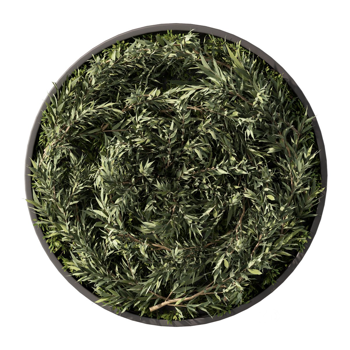 Fitowall Set.5 Image 1