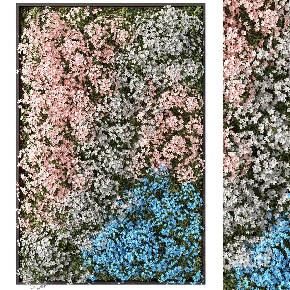 Fitowall Set.4 Image 1