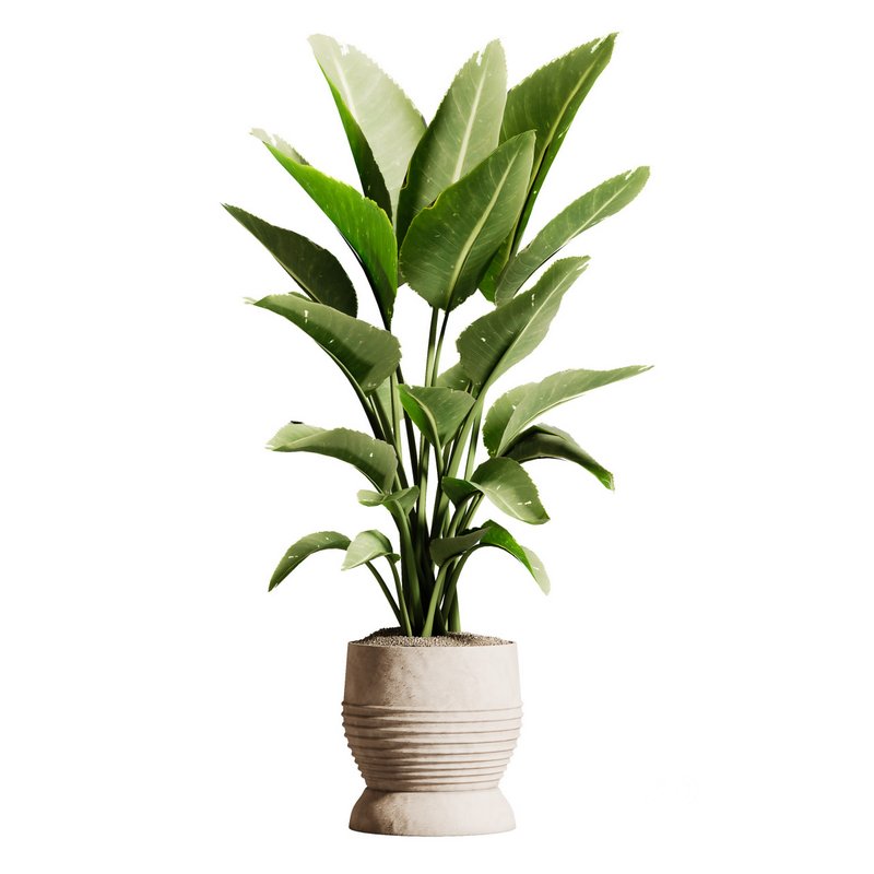 IndoorPlantSet03 Image 2