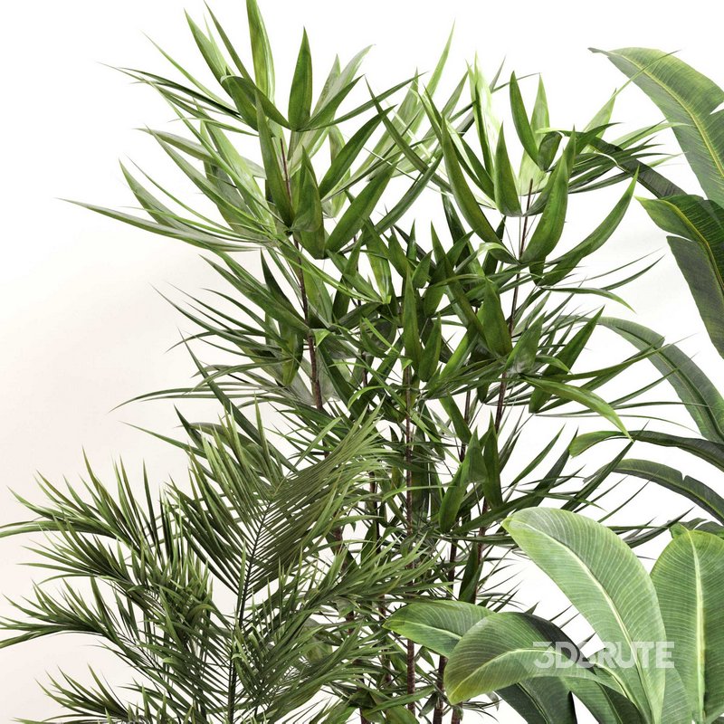 Indoor Plant Set 0146 Image 1