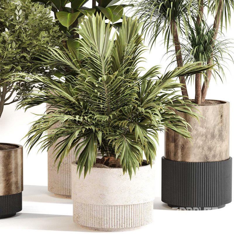 Indoor Plant Set 0109 Image 2