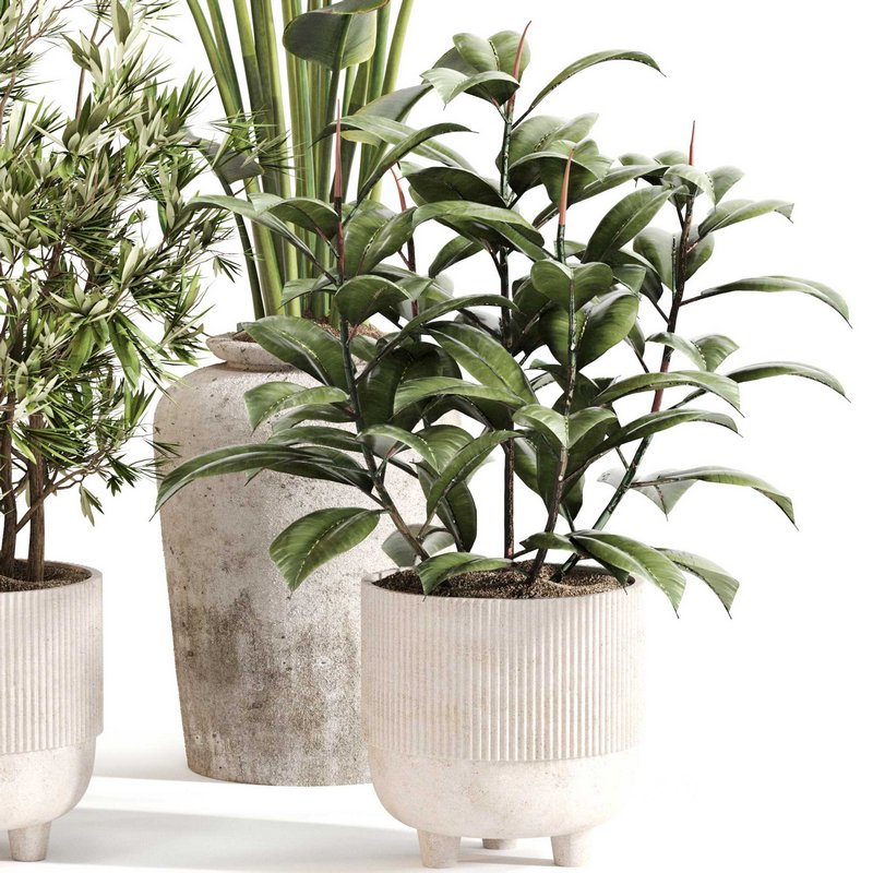 Indoor Plant Set 0110 Image 2