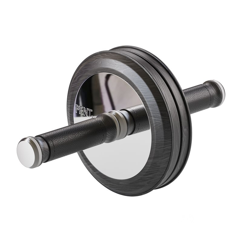 TWISTA Luxury Gym AB Roller Image 2
