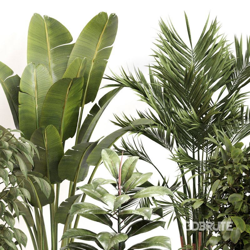 Indoor Plant Set 0143 Image 3