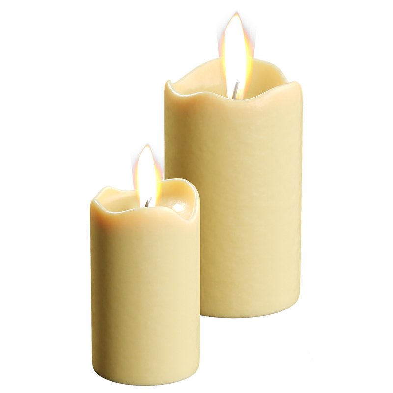 Decorative Fir Image 4