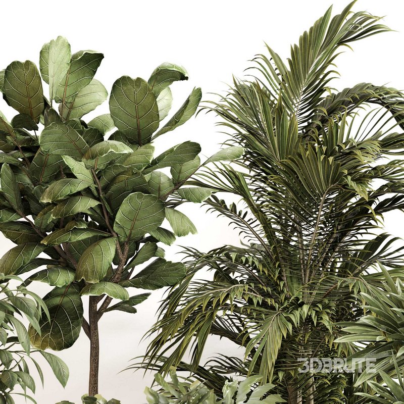 Indoor Plant Set 0145 Image 3