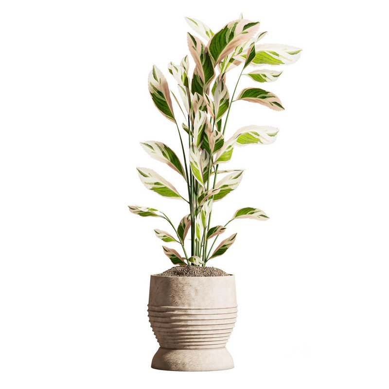 IndoorPlantSet03 Image 3