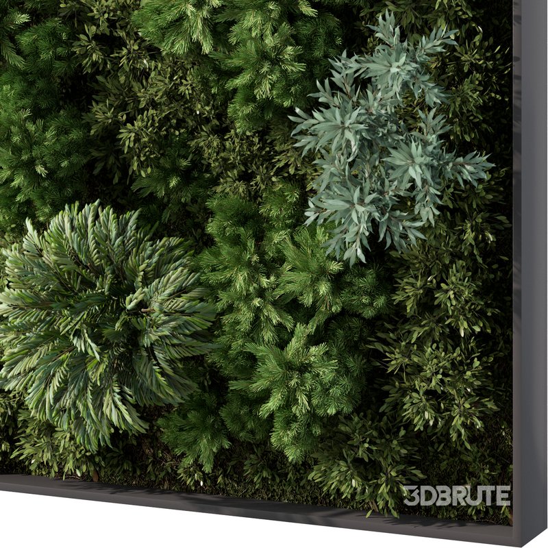 Fitowall Set No.1 Image 2