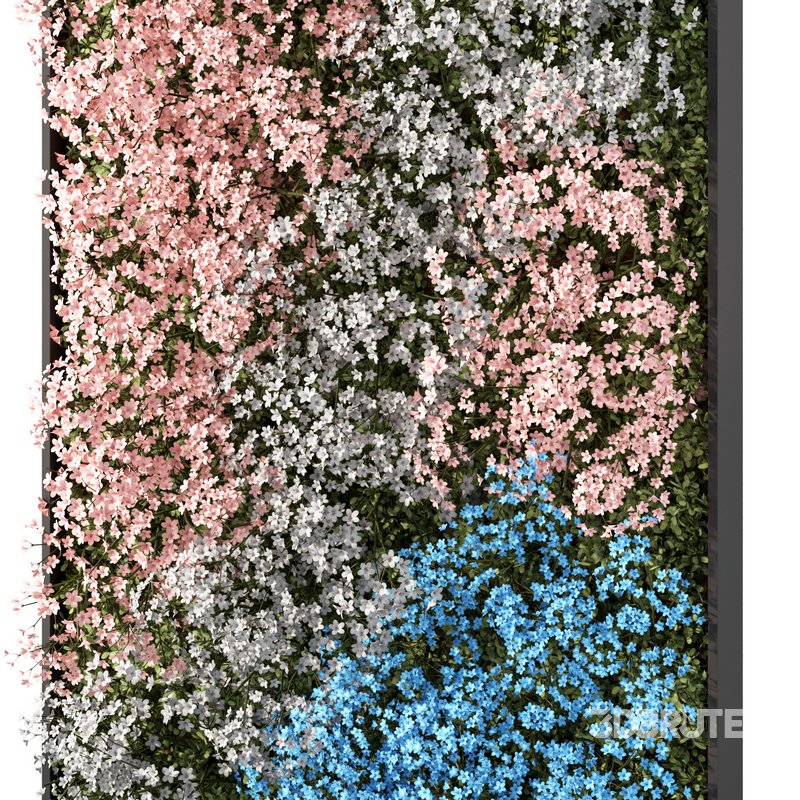 Fitowall Set.4 Image 2