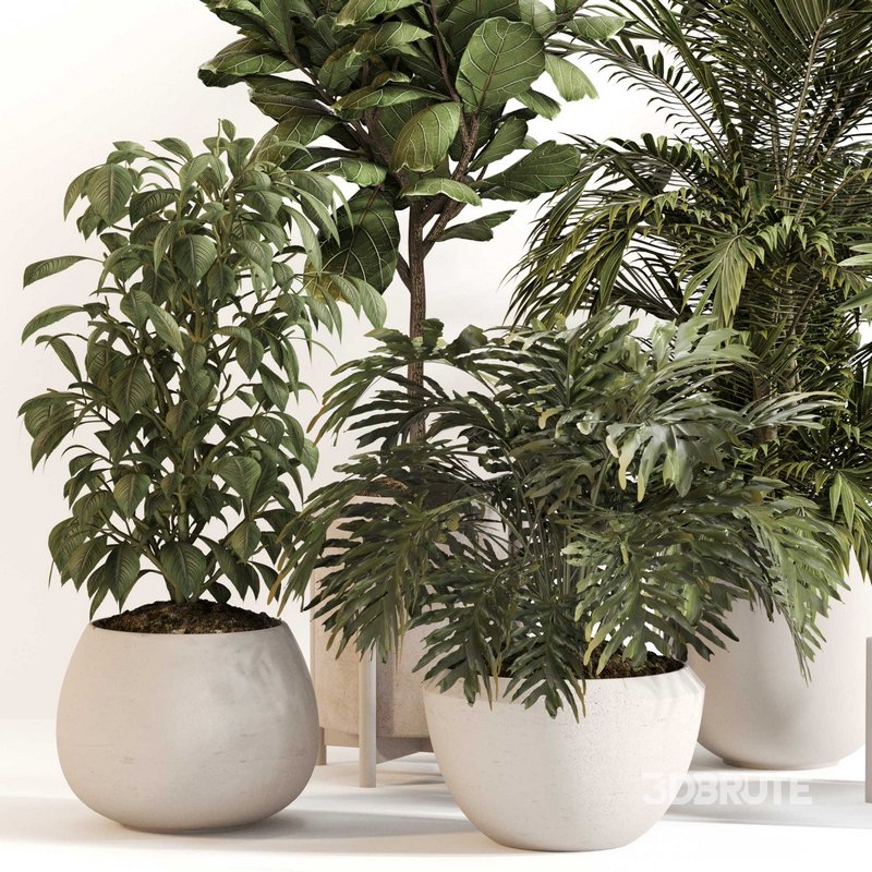 Indoor Plant Set 0145 Image 2