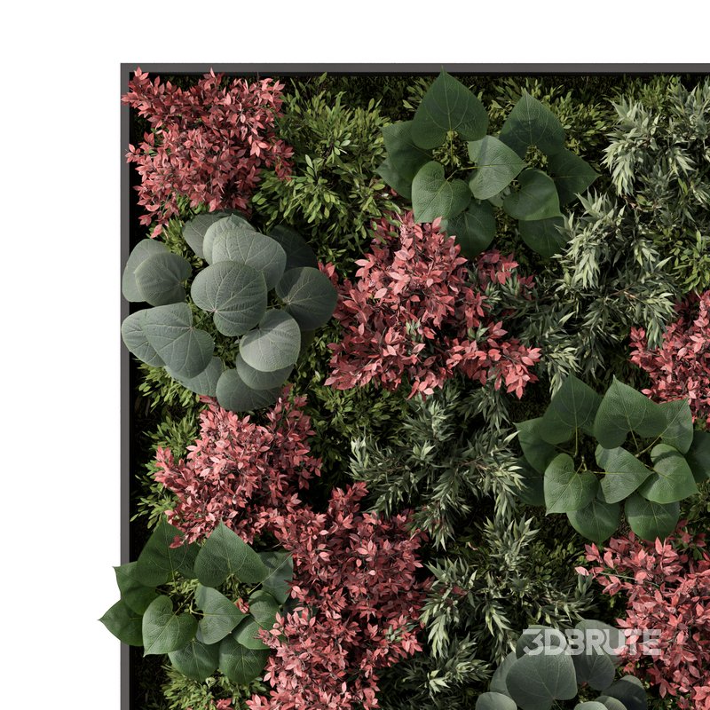 Fitowall Set.3 Image 2