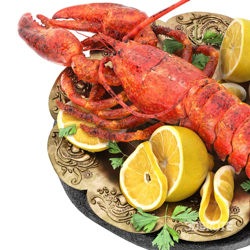 plate of seafood lobster Image 3