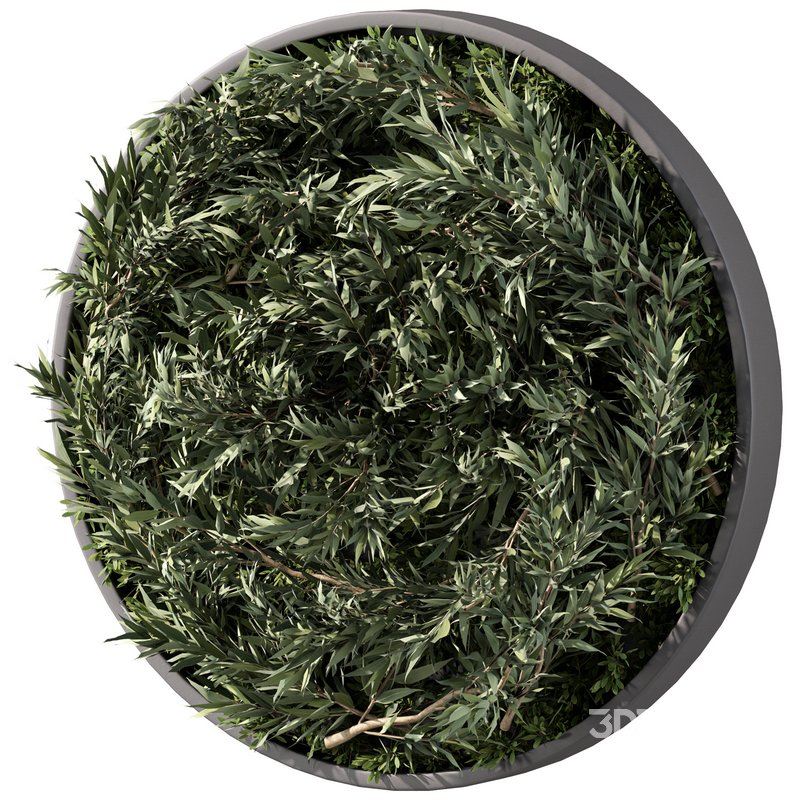 Fitowall Set.5 Image 2