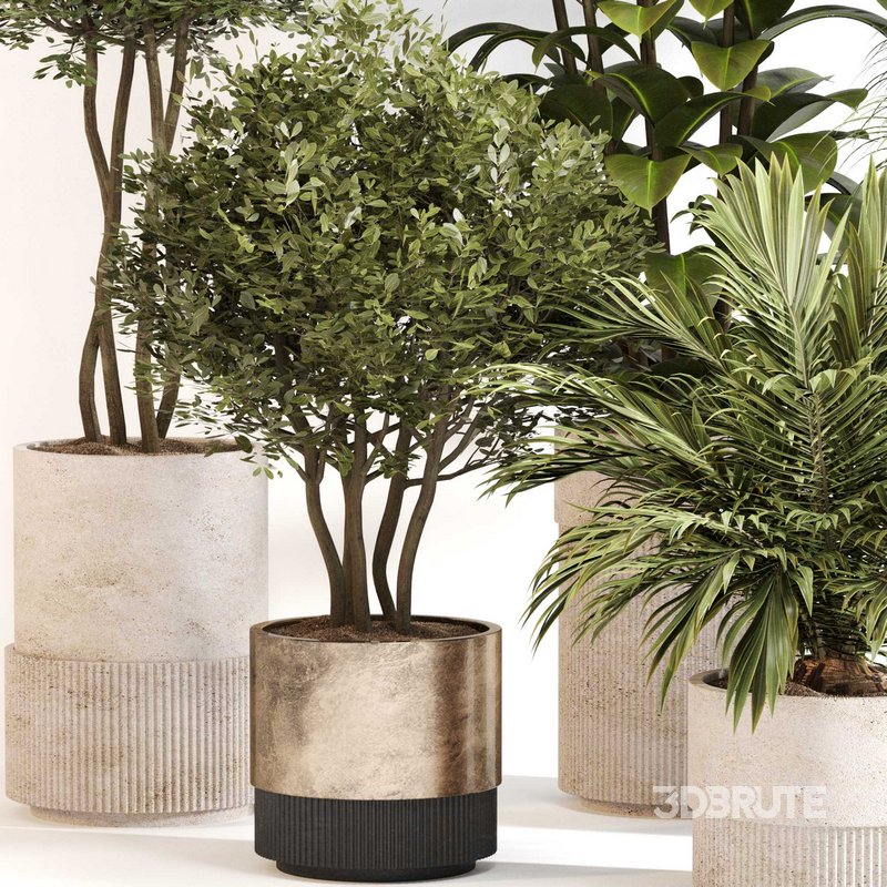 Indoor Plant Set 0109 Image 3