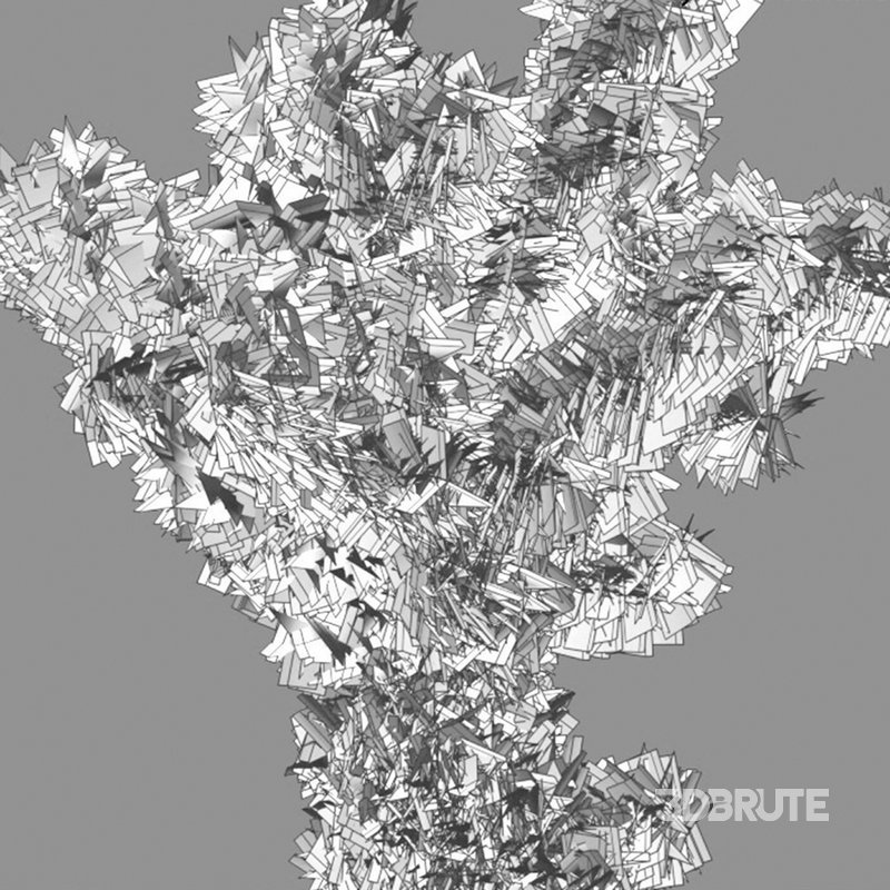 Cylindropuntia Bigelovii – Teddy Bear Cholla Image 4