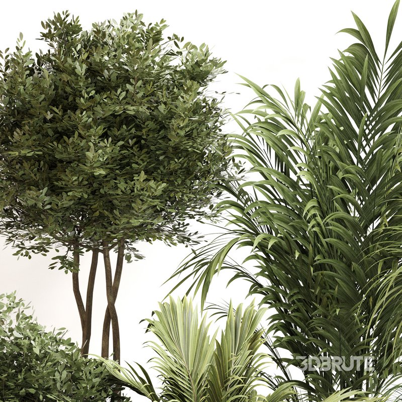 Indoor Plant Set 0144 Image 3