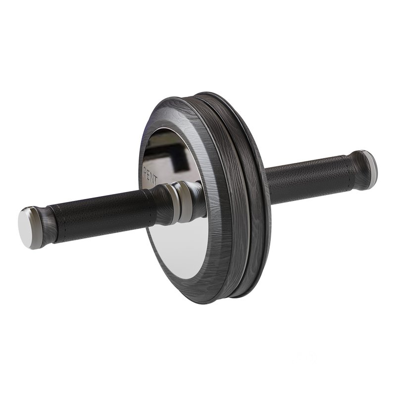 TWISTA Luxury Gym AB Roller Image 3