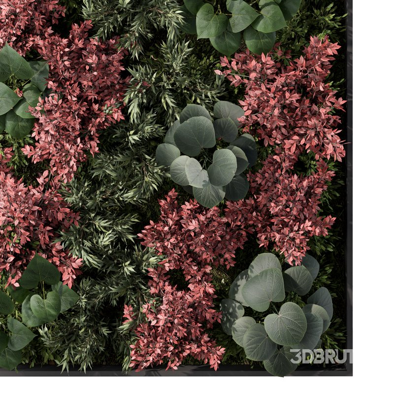 Fitowall Set.3 Image 3