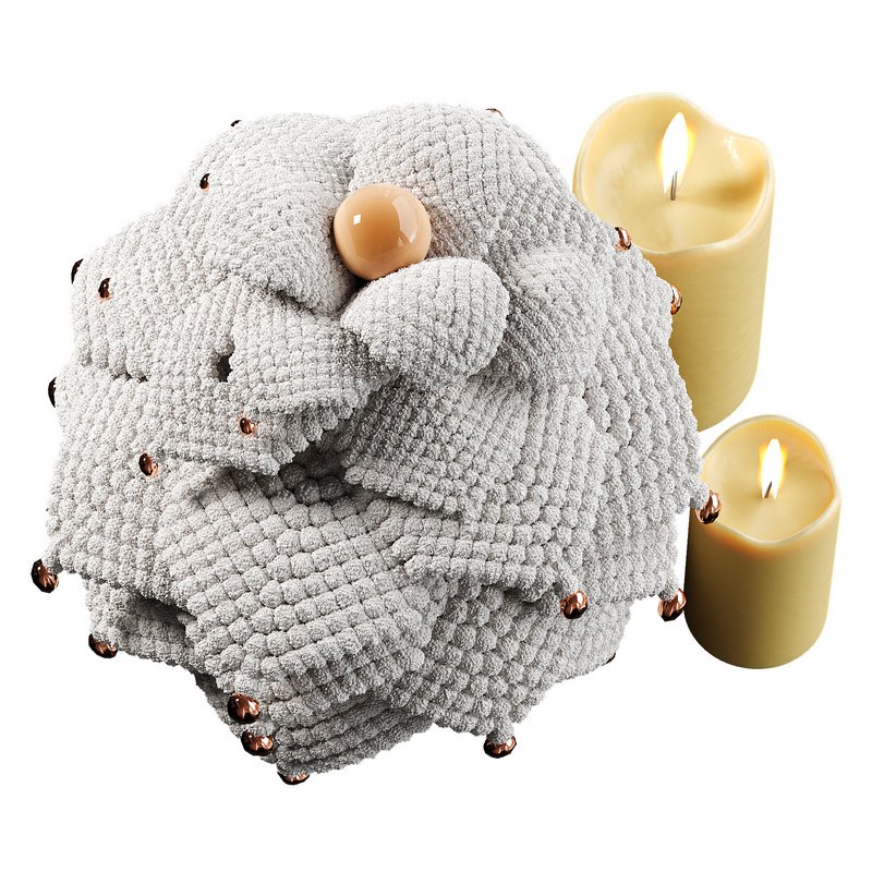 Decorative Fir Image 2