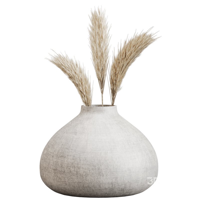 Minimal Dried Pampas Set Image 4