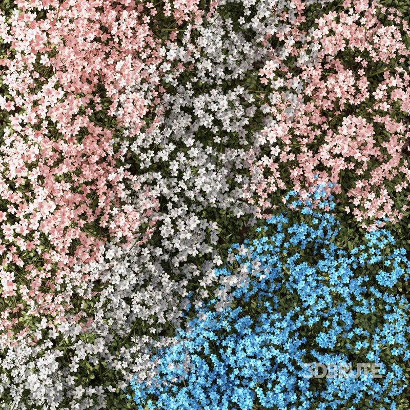 Fitowall Set.4 Image 3