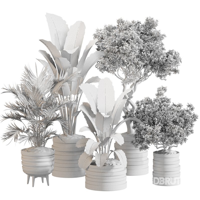 Indoor Plant Set 0142 Image 5