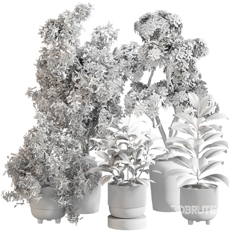 Indoor Plant Set 0141 Image 4