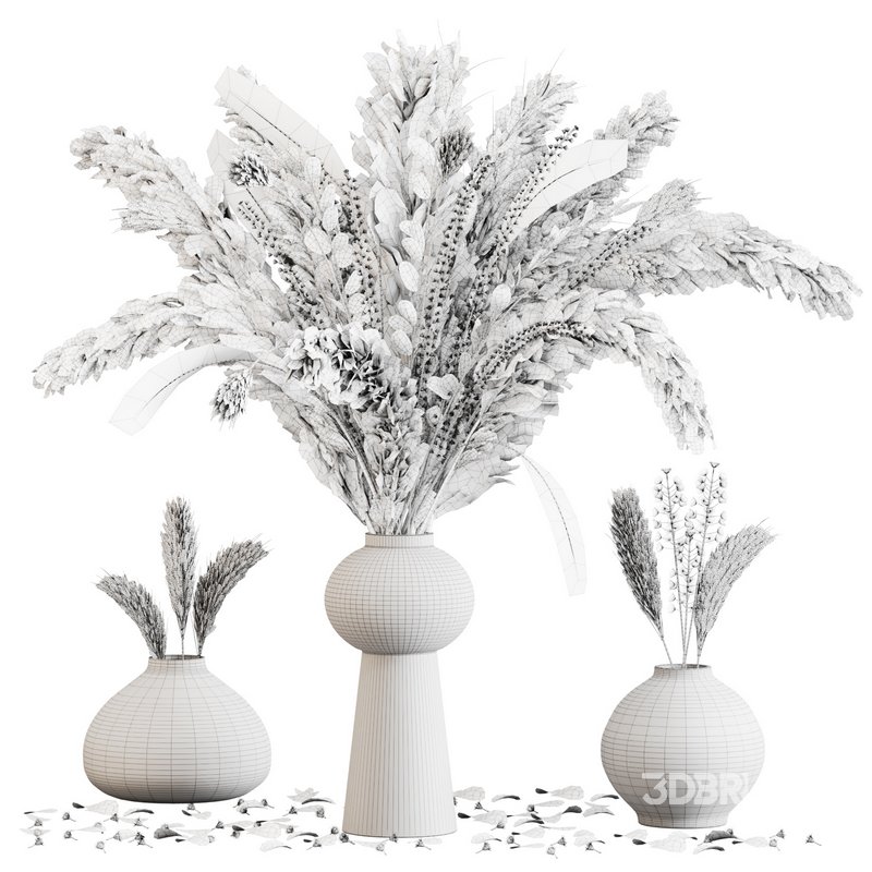 Minimal Dried Pampas Set Image 5